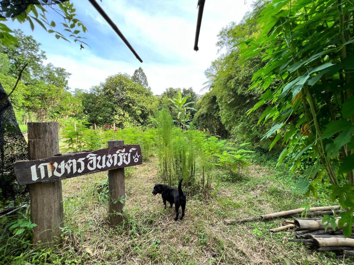 Phow Homestay Ban Mai  Εξωτερικό φωτογραφία